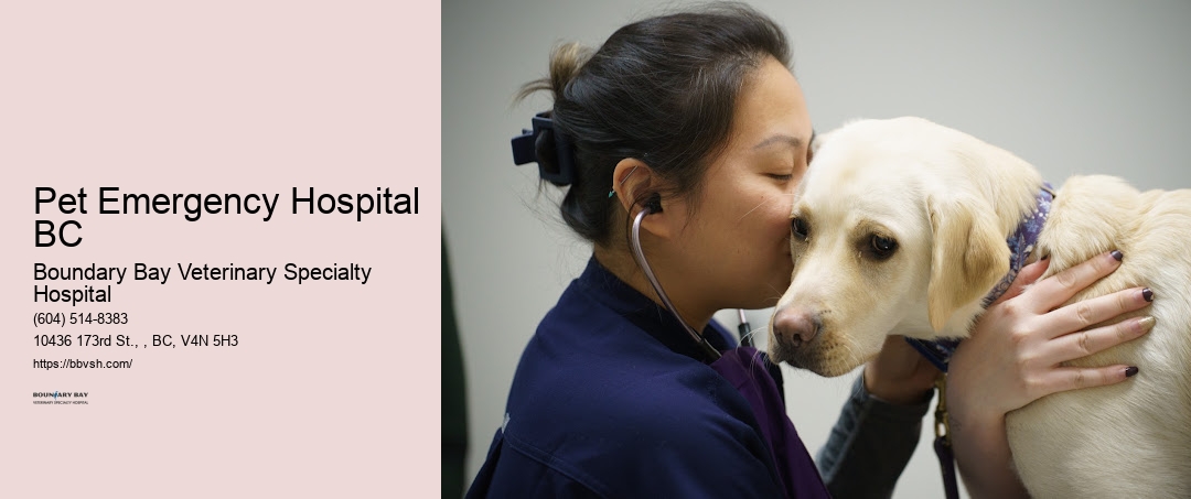 Pet Emergency Hospital Surrey BC