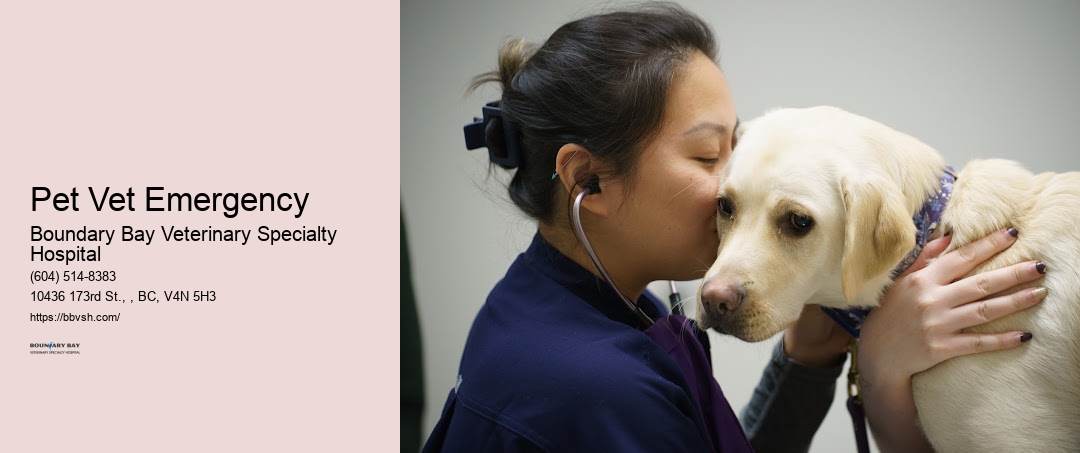 Pet Vet Emergency Surrey
