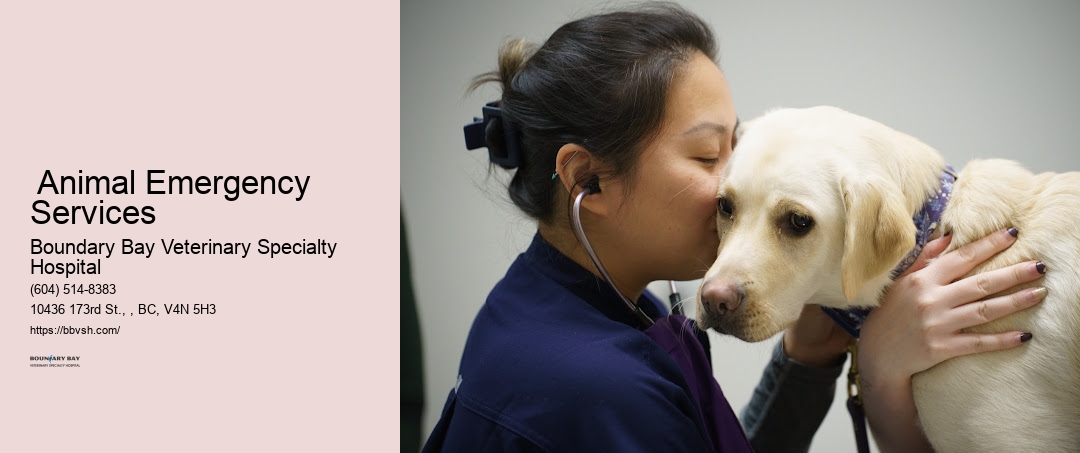 Surrey Animal Emergency Services