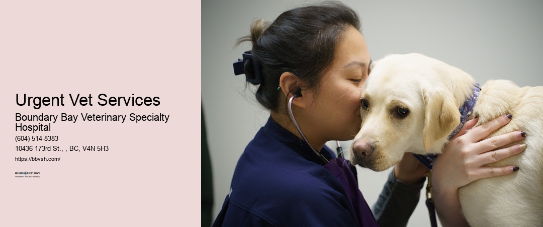 Urgent Vet Services Surrey