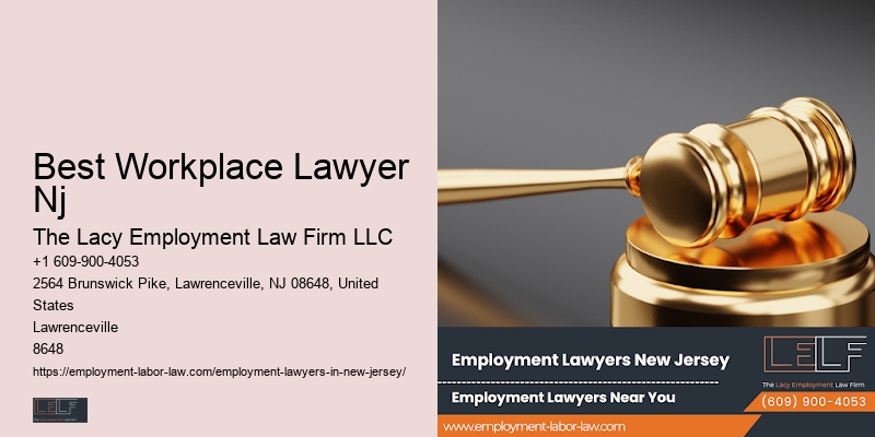 Top Employment Litigation Lawyer Nj