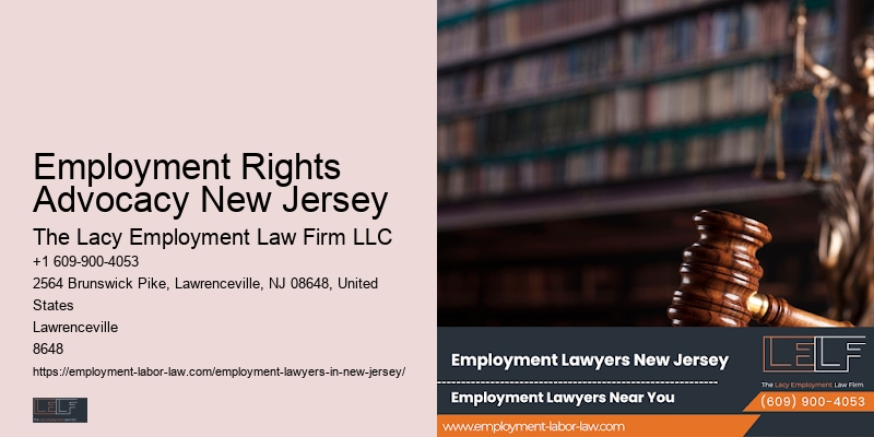 Professional Employment Attorney Nj