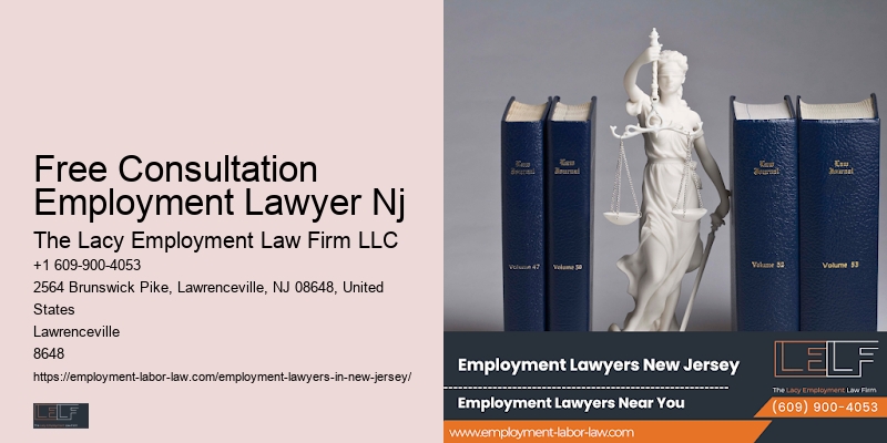 Nj Employment Law Professional