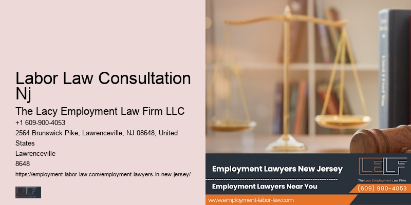 Distinguished Labor Law Attorney Nj