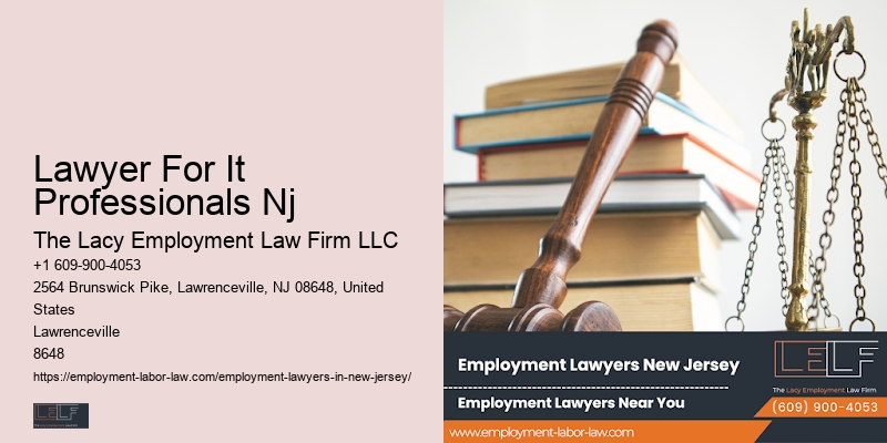 Top Employment Law Firm Lawyer For It Professionals Nj