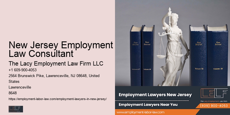 Dedicated Employment Lawyer New Jersey Employment Law Consultant