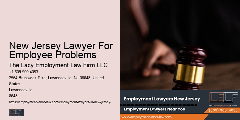 New Jersey Lawyer For Employee Problems Employment Law Solutions