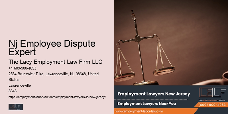 Premier Nj Employment Law Expert