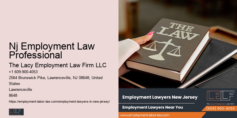 Nj Employment Law Professional