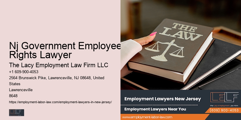 Nj Government Employee Rights Lawyer