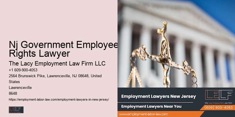 Nj Government Employee Rights Lawyer Employment Law Consultant