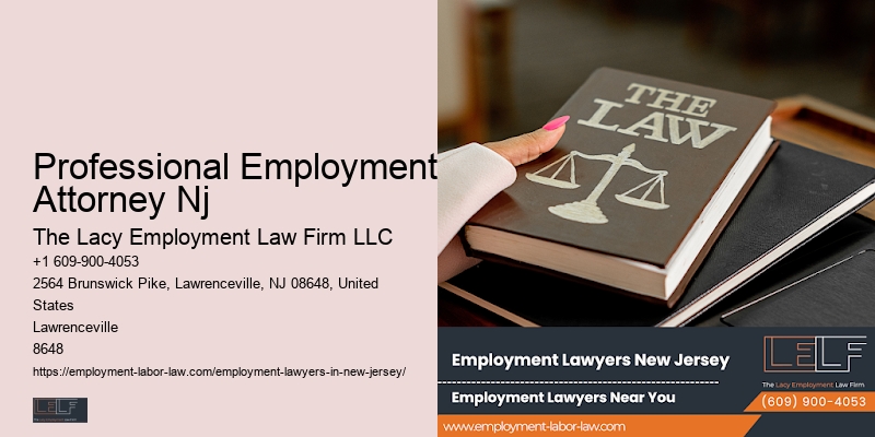 Professional Employment Attorney Nj