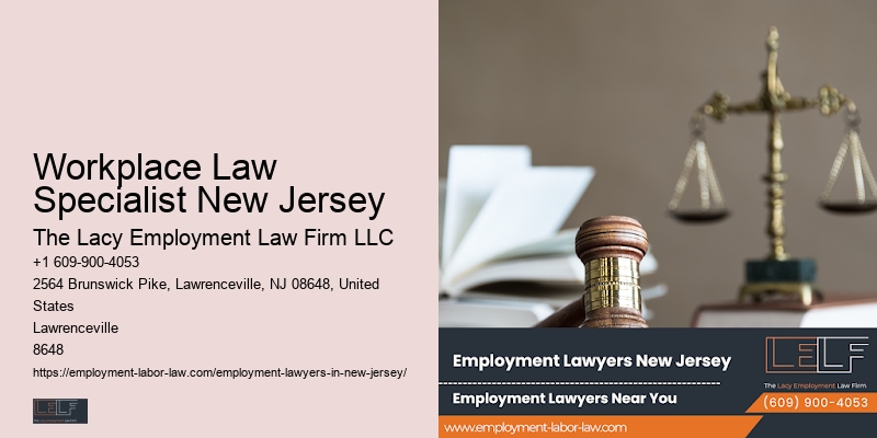 Employment Legal Support Workplace Law Specialist New Jersey