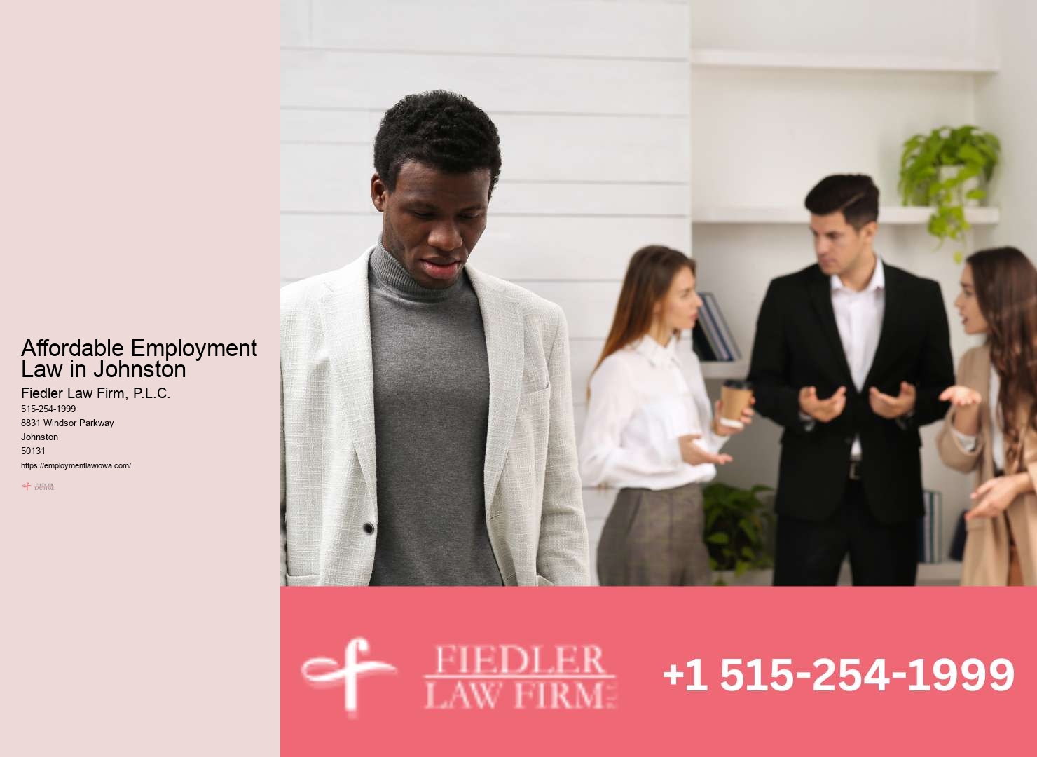 Expert Government Employment Lawyer in Johnston