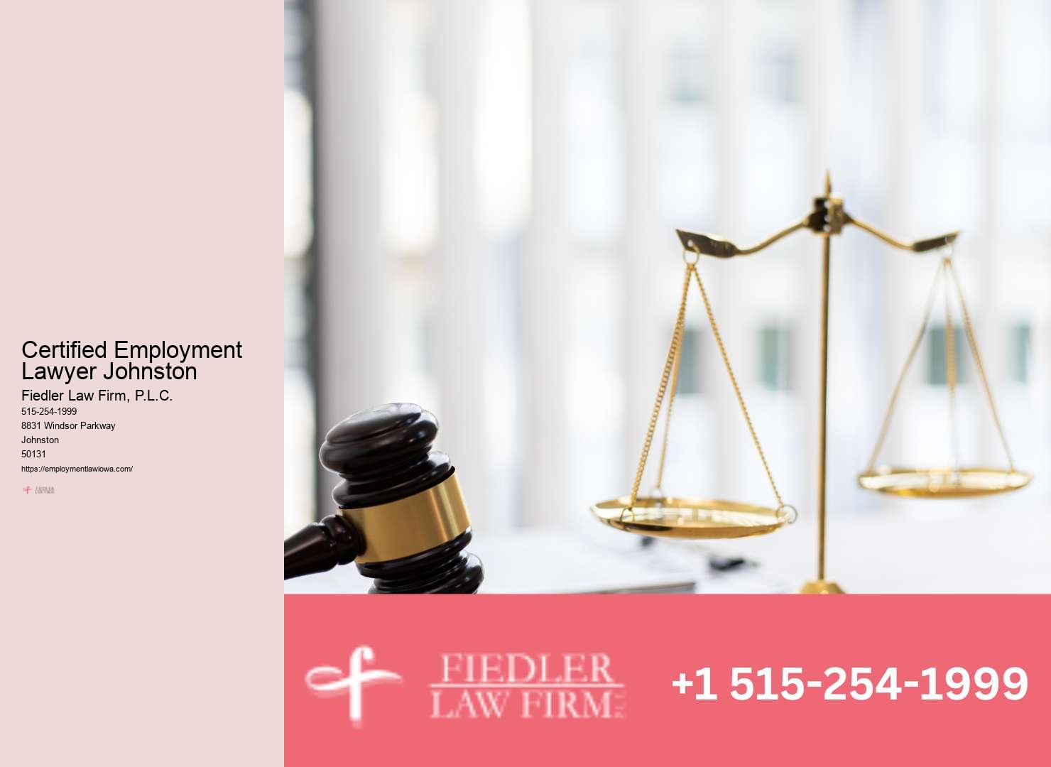 Johnston Employment Law Consultation Assistance