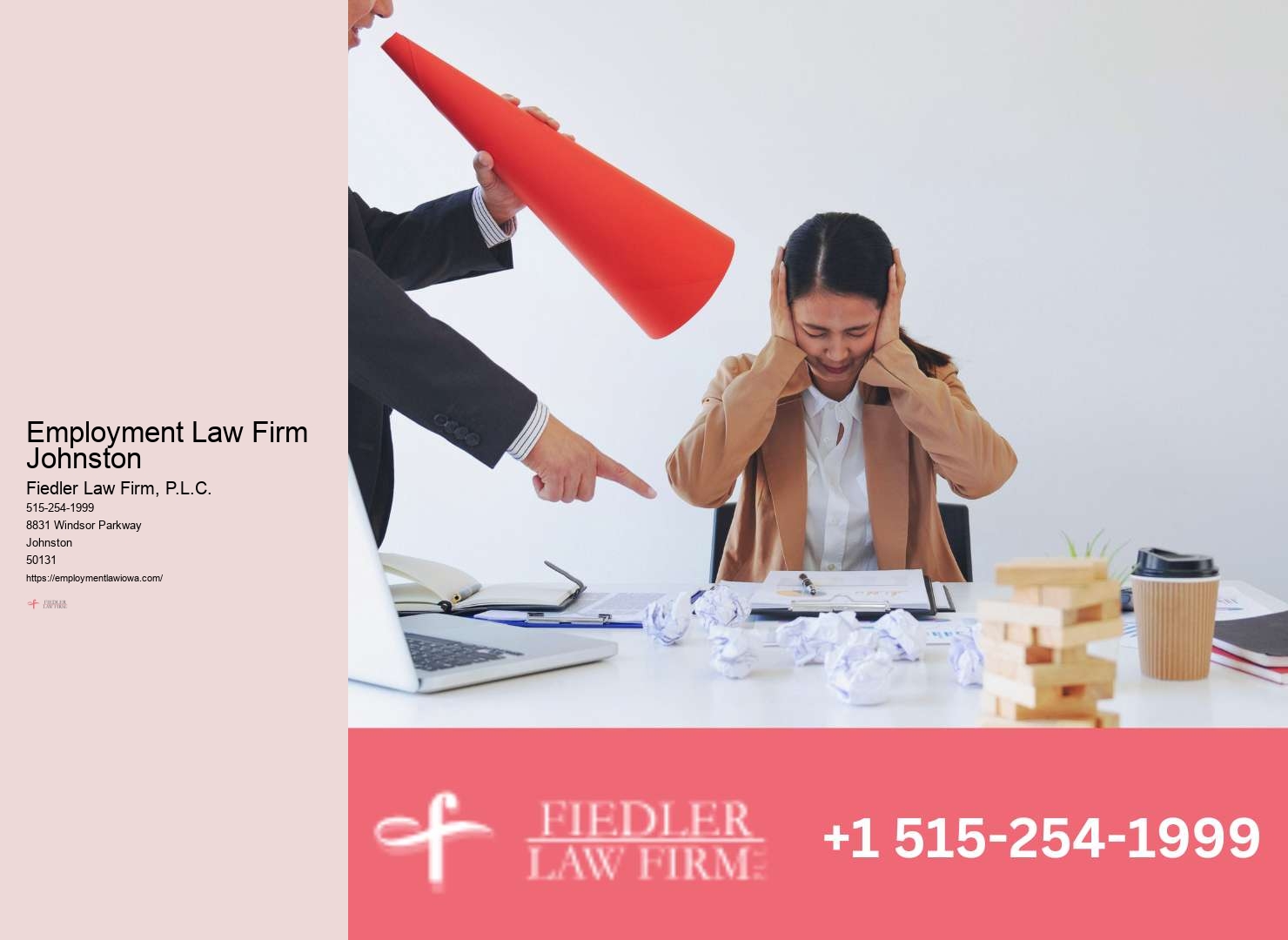 Employment Lawyer Johnston expertise