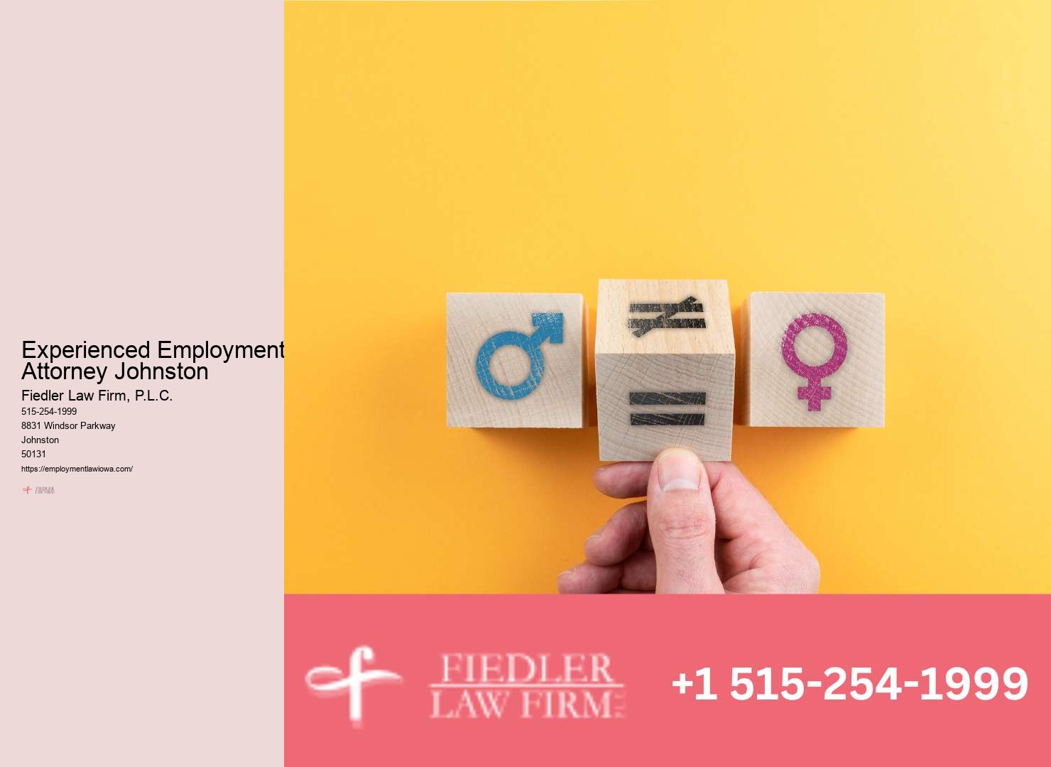 Johnston Employment Law Case Representation