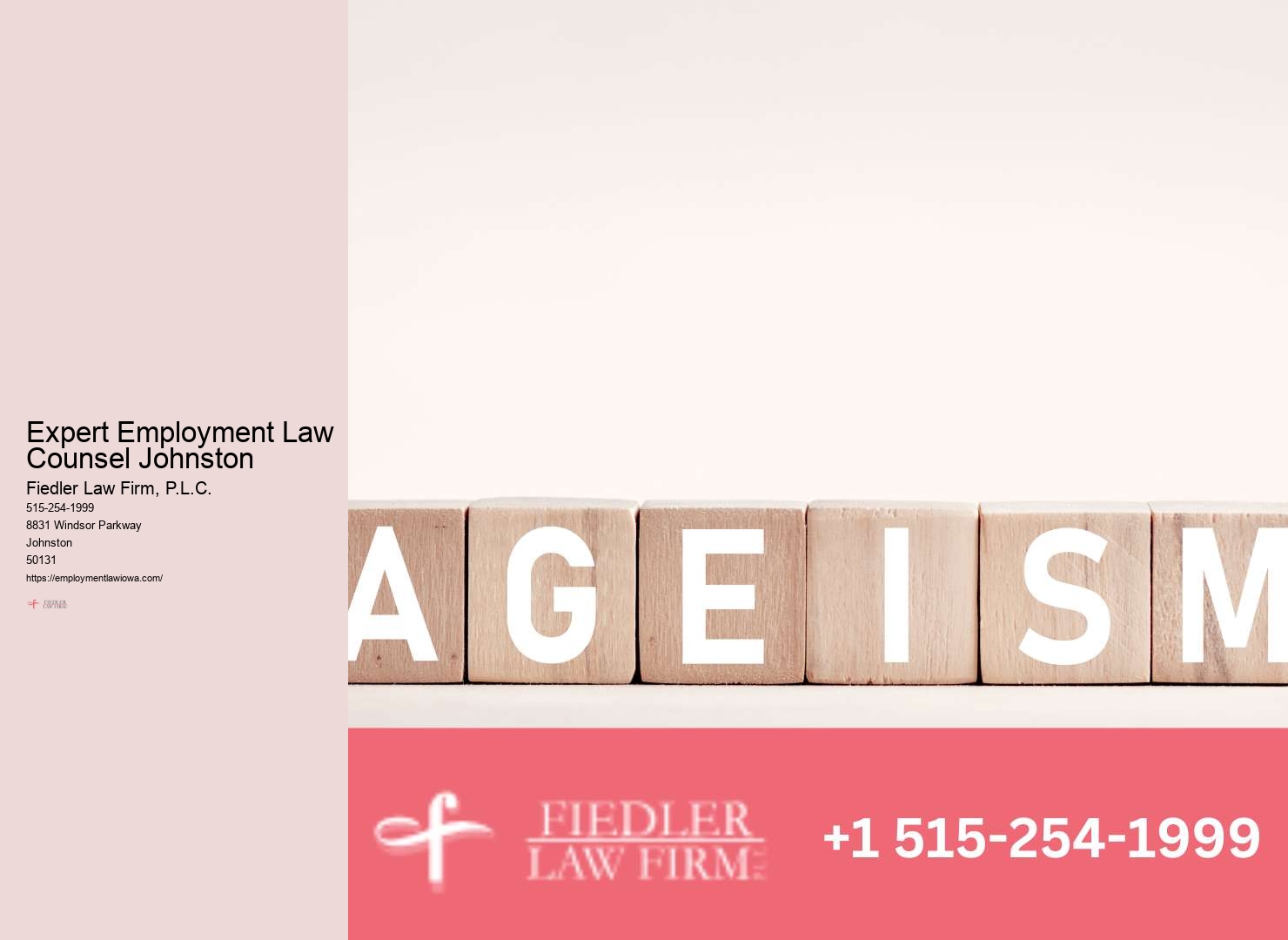 ADA (Americans with Disabilities Act) lawyer Johnston