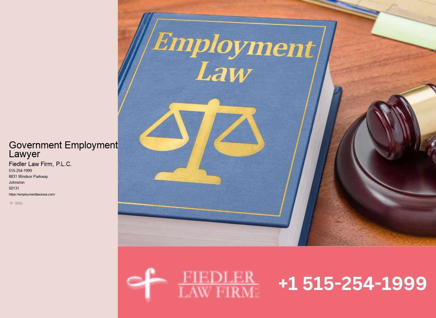 Best-rated Employment Lawyer Johnston