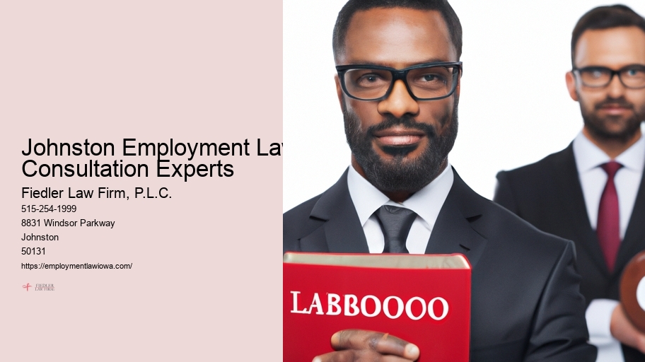 Johnston Employment Law Consultation Experts