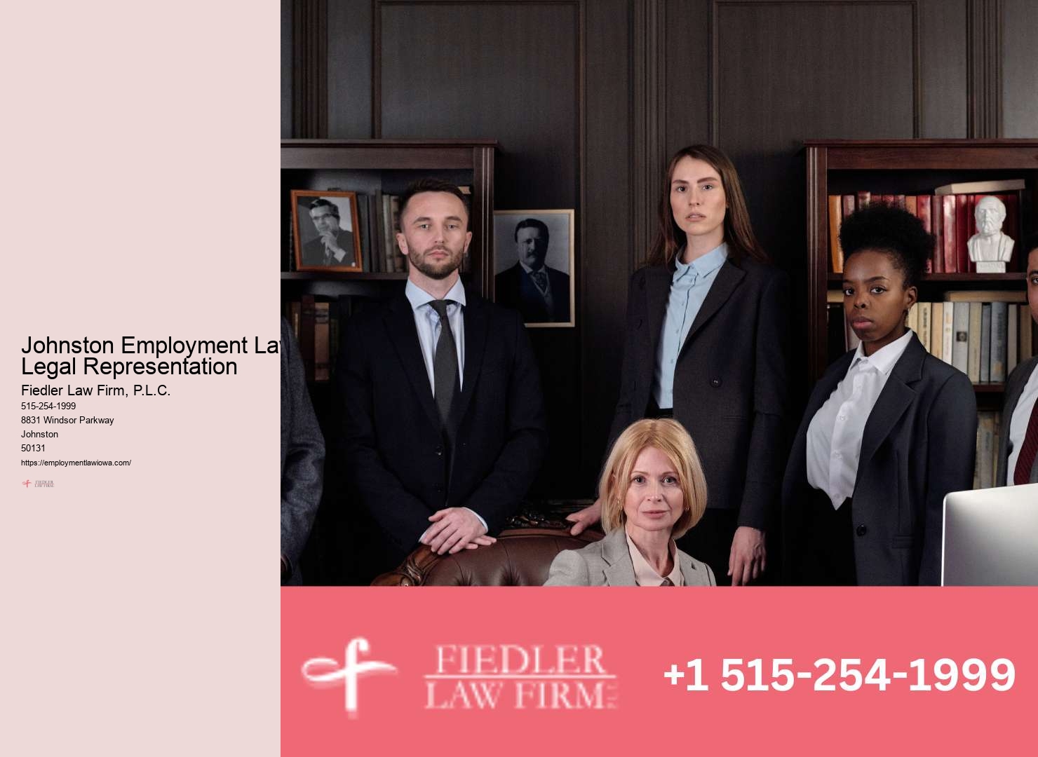 Trusted Government Employment Lawyer in Johnston