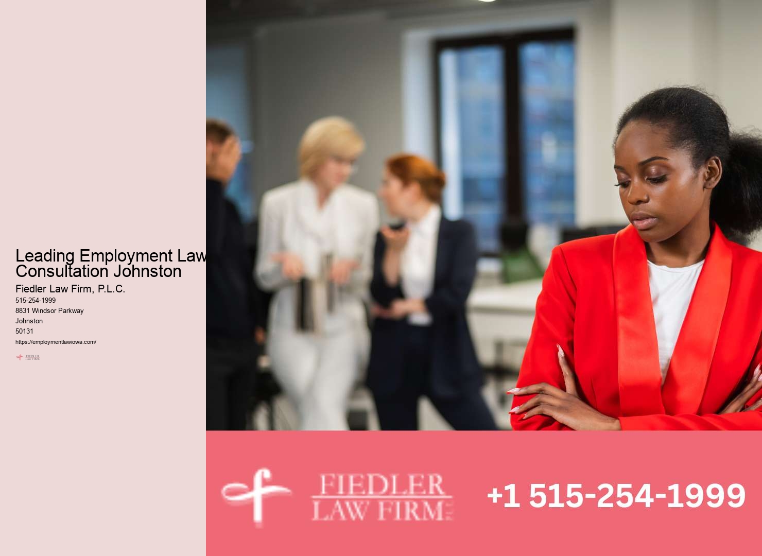 Johnston Employment Law Consultation