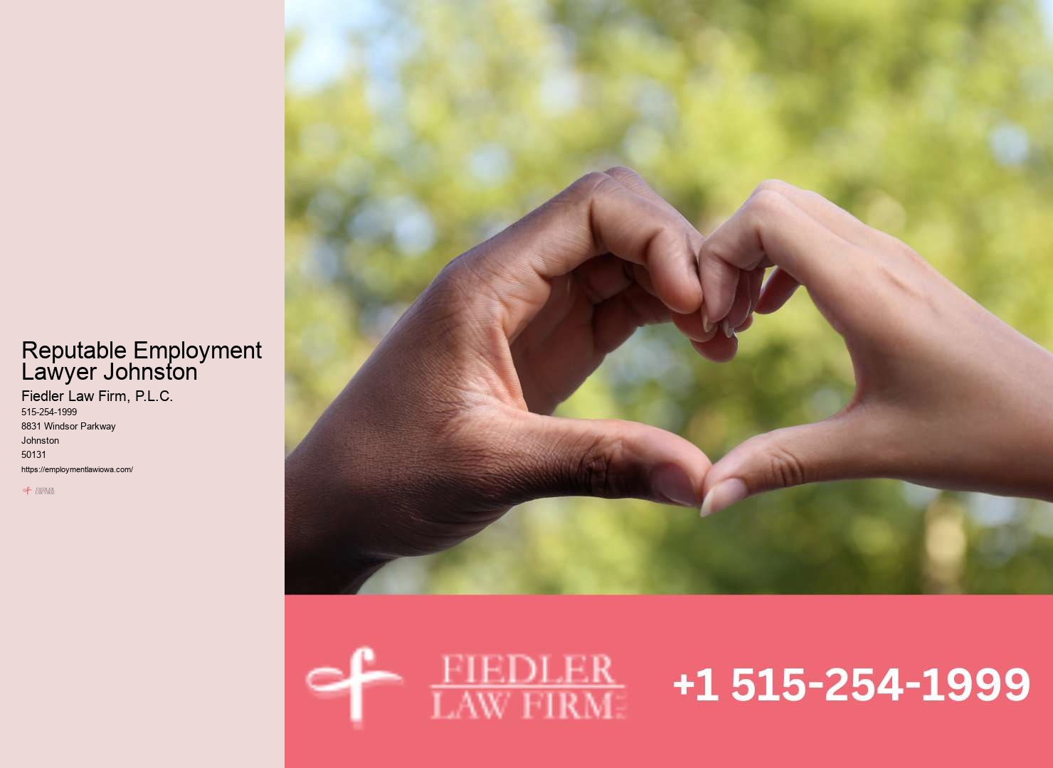 Seasoned Government Employment Lawyer Johnston