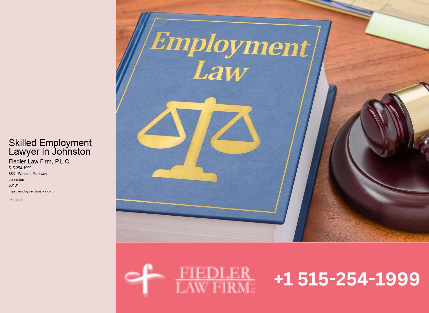 Experienced Employment Law Consultant in Johnston