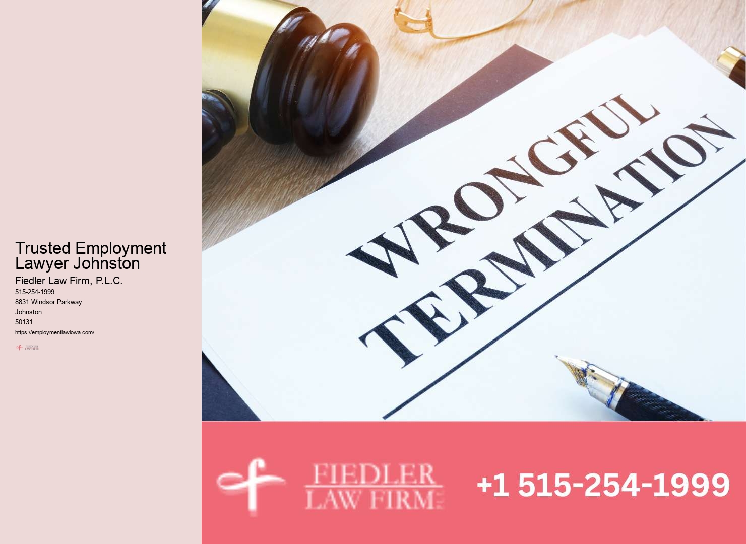 Johnston Employment Law Consultation Expertise