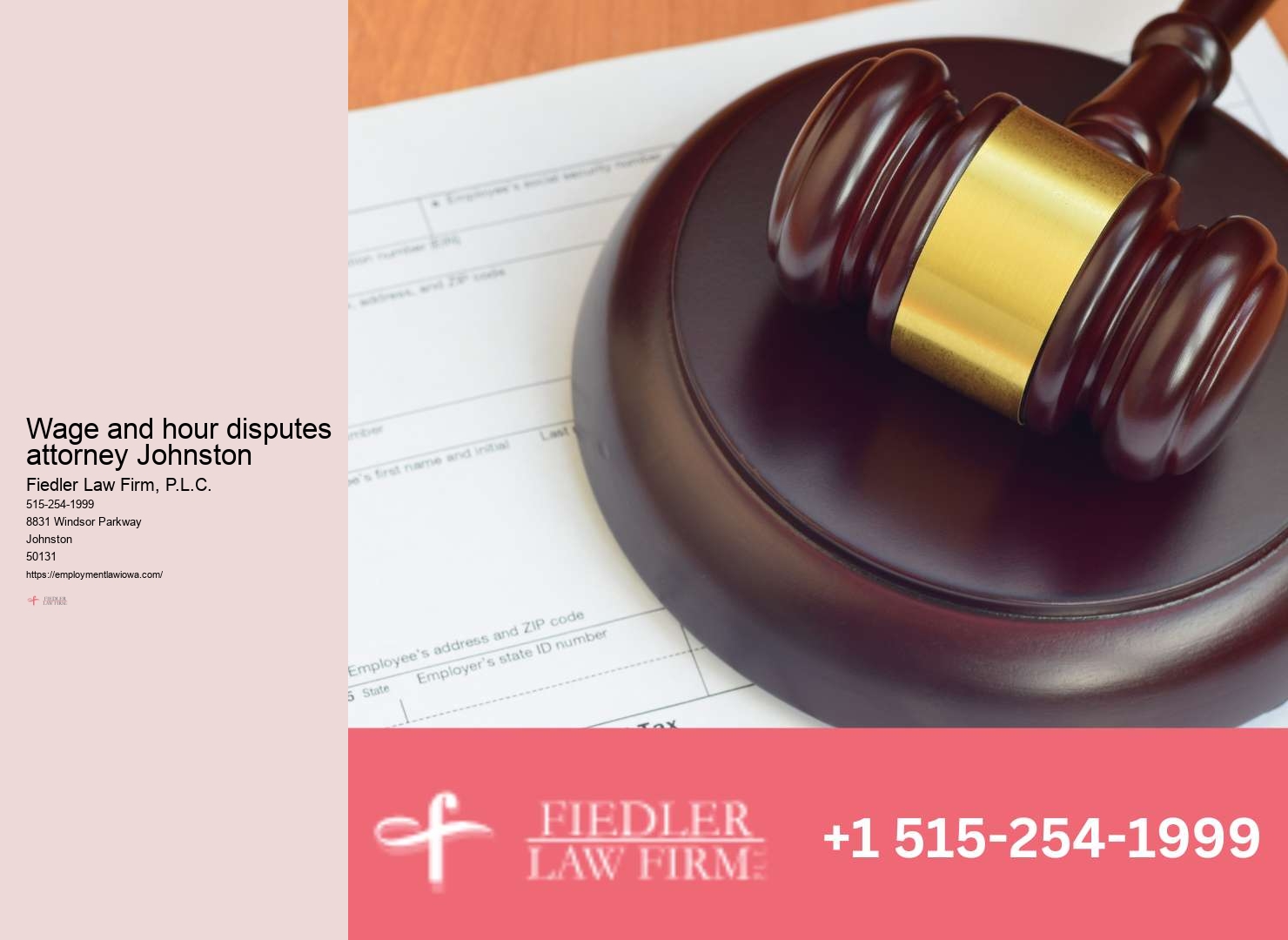 Leading Government Employment Lawyer Johnston