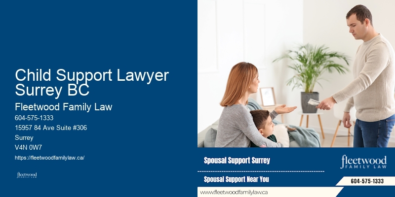 Child Support Lawyer Surrey BC BC Family Law Mediation Expert