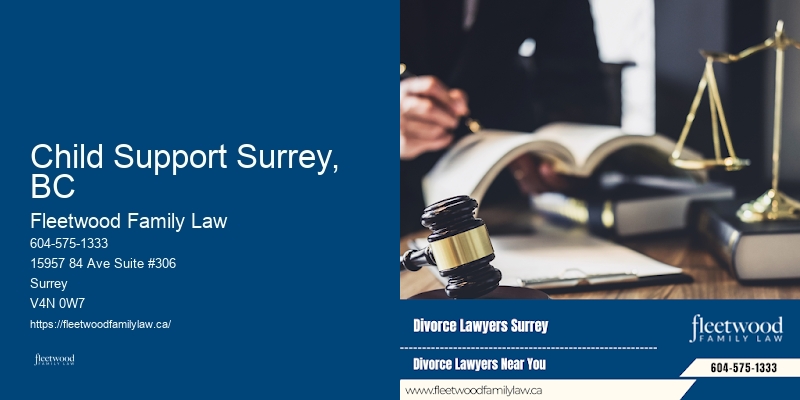 Child Support Surrey, BC BC Grandparents’ Custody Lawyer