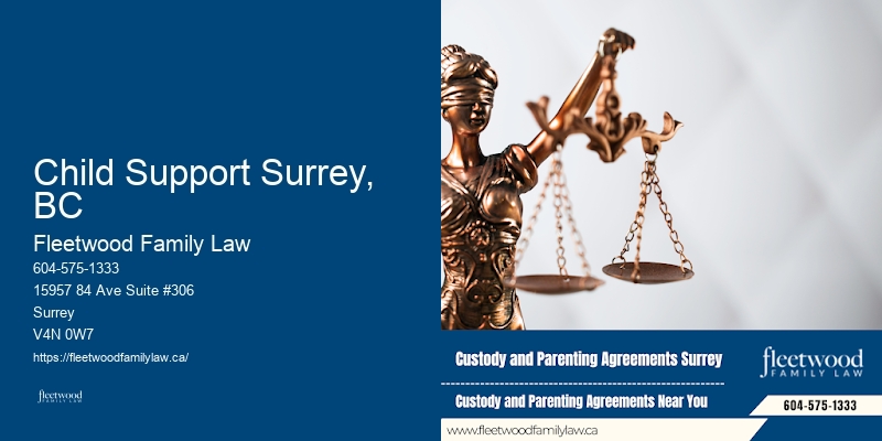 Child Support Surrey, BC Family Law Lawyer
