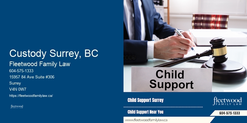 Custody Surrey, BC Family Lawyer Services