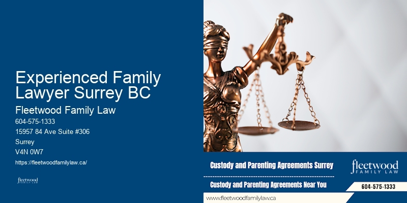 Experienced Family Lawyer Surrey BC Child Support Lawyer