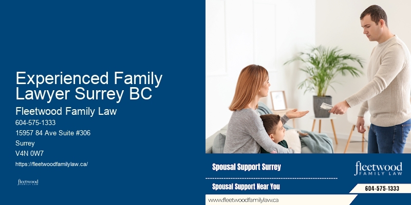 Best Family Law Attorney Experienced Family Lawyer Surrey BC BC
