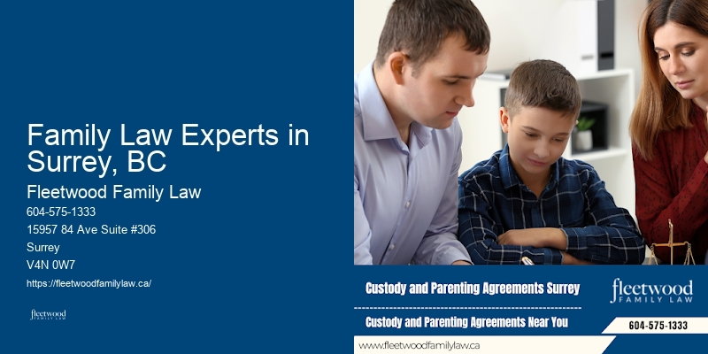 Divorce And Family Lawyer Family Law Experts in Surrey, BC