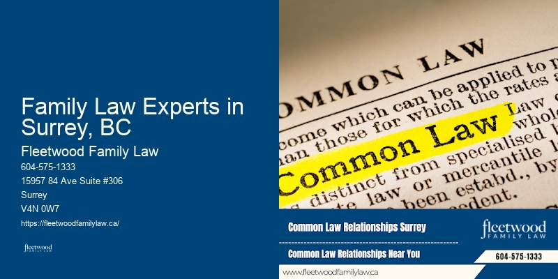 Affordable Family Law Services Family Law Experts in Surrey, BC