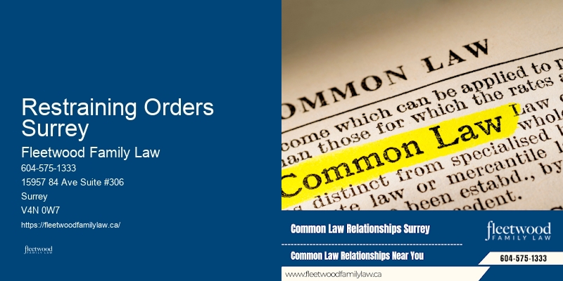Restraining Orders Surrey Child Custody Disputes Lawyer