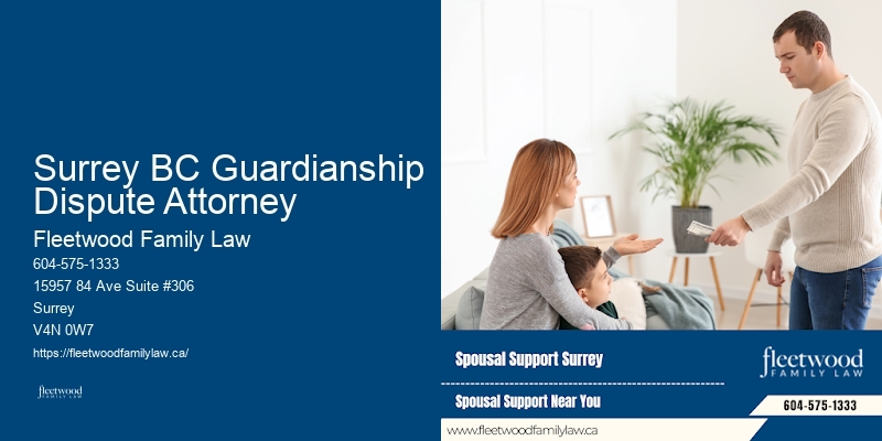 High Net Worth Divorce Surrey BC Guardianship Dispute Attorney BC