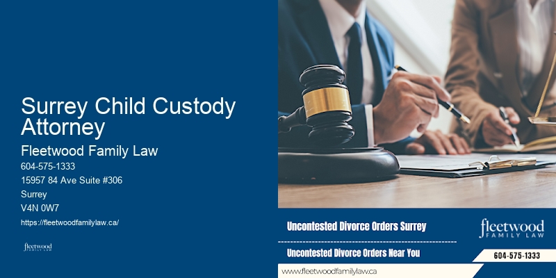Family Law Dispute Lawyer Surrey Child Custody Attorney BC