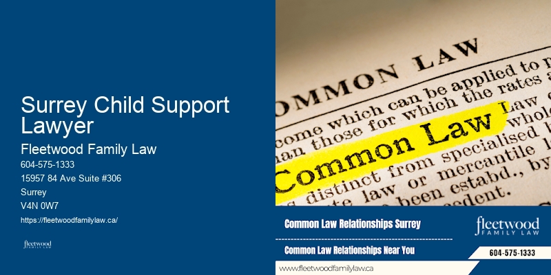 Family Law Dispute Lawyer Surrey Child Support Lawyer BC