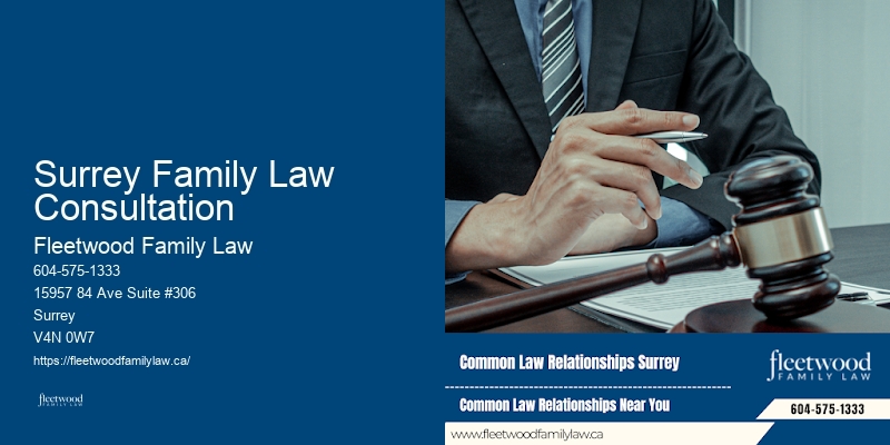 Family Law Case Review Surrey Family Law Consultation BC