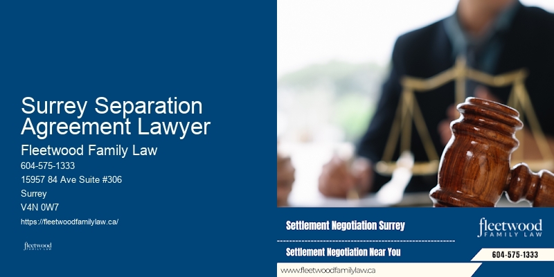 Child Custody Dispute Lawyer Surrey Separation Agreement Lawyer