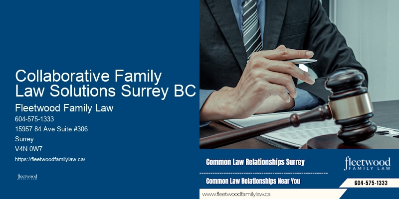 Family Law Appeals Experts Collaborative Family Law Solutions Surrey BC BC