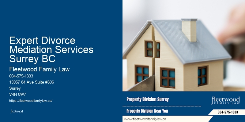 Expert Divorce Mediation Services Surrey BC BC Family Court Representation