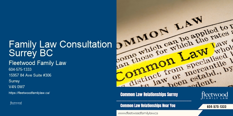 Family Law Consultation Surrey BC BC High Conflict Divorce Lawyer