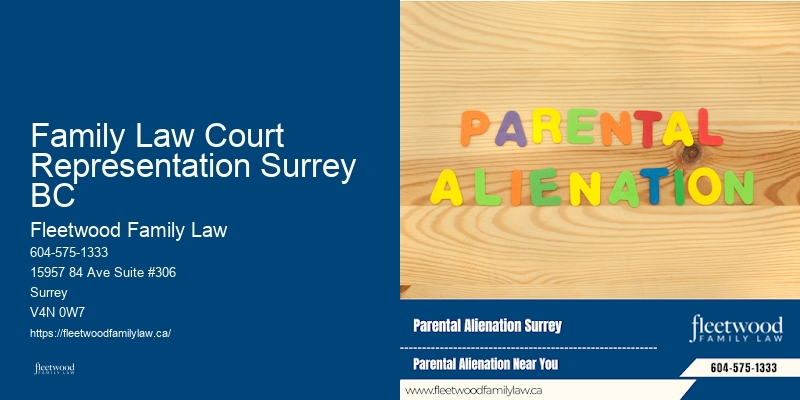 Family Law Court Representation Surrey BC BC Family Law Assistance