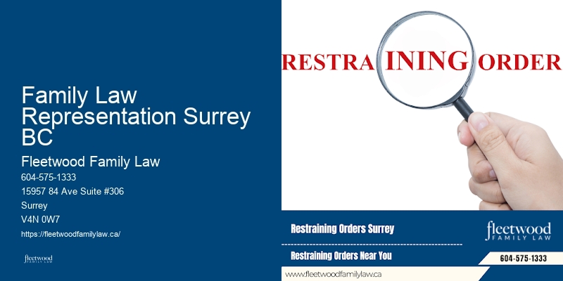 Top-Rated Family Lawyer Family Law Representation Surrey BC BC