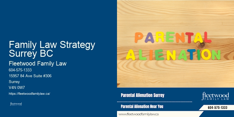 Family Law Strategy Surrey BC BC Family Law Services for Immigrants